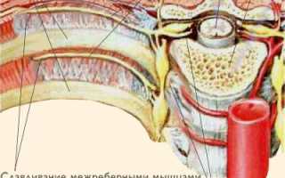 Болит спина когда долго стоишь немеет