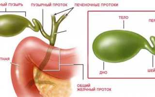 Рак желчного пузыря болит спина