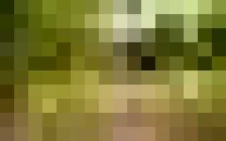 Болит спина после дачи