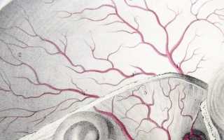 Голова немеет болит кружится