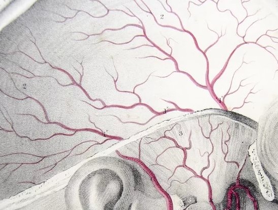 голова немеет болит кружится