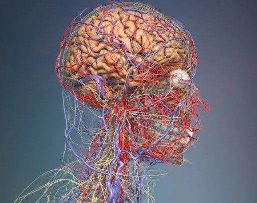 Если очень сильно болит голова во время беременности