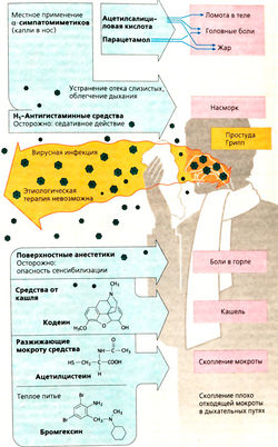 Почему болит голова физиология