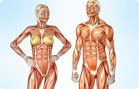 Почему при сексе болит бок: причины, лечение, последствия2