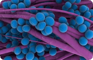 Почему при сексе болит бок: причины, лечение, последствия6