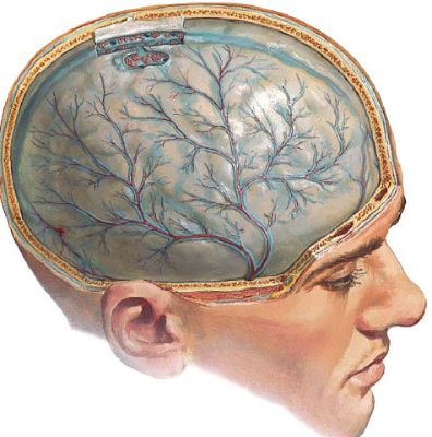 болит вся спина и температура 37