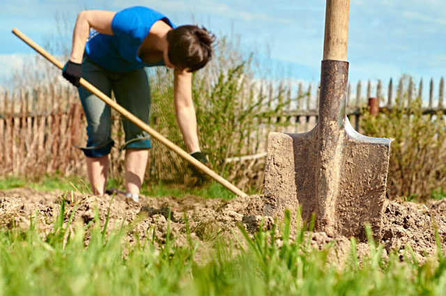Болит спина после дачи