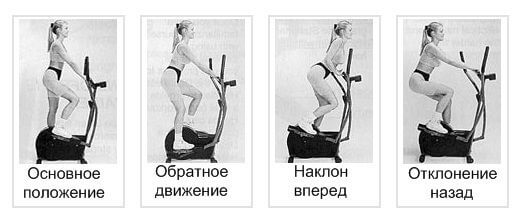 основные положения тела во время тренировки 