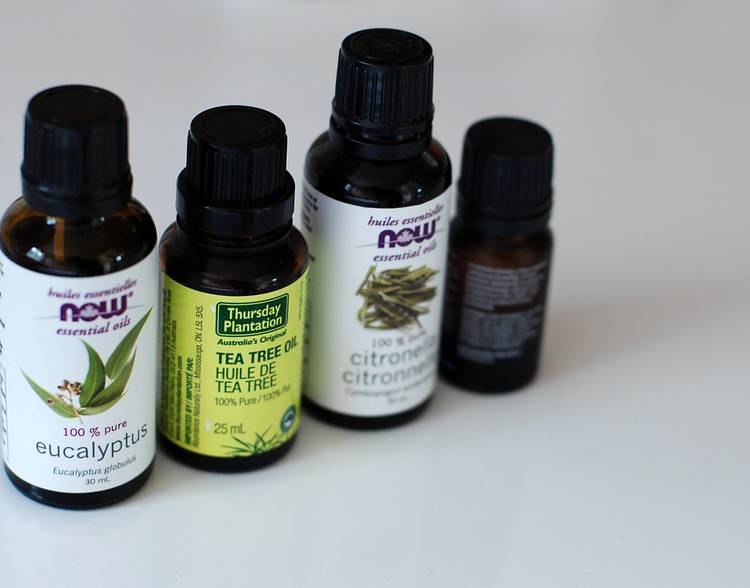 масло чайного дерева от герпеса на губе