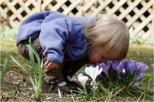 Ребенок нюхает цветы Ребенок нюхает цветы