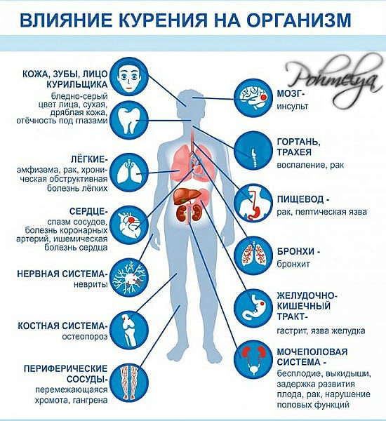 Почему после выкуренной сигареты болит голова