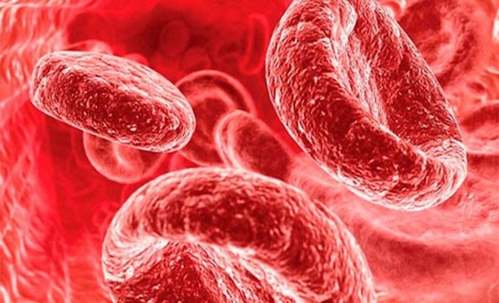 Развитие нефрогенной анемии или дефицитной, как ее еще называют, происходит вследствие уменьшения синтеза эритпротеинов почечная анемия