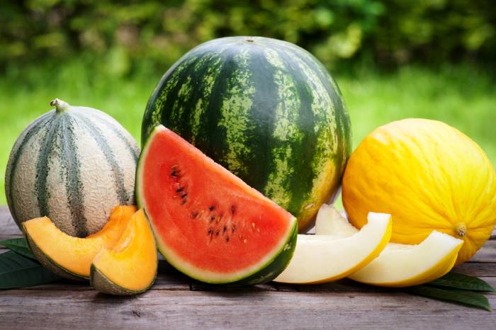 Растения с мочегонным эффектом, рецепты с мочегонными травами