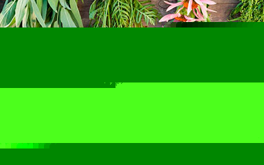 Лечение простатита народными средствами - самые эффективные