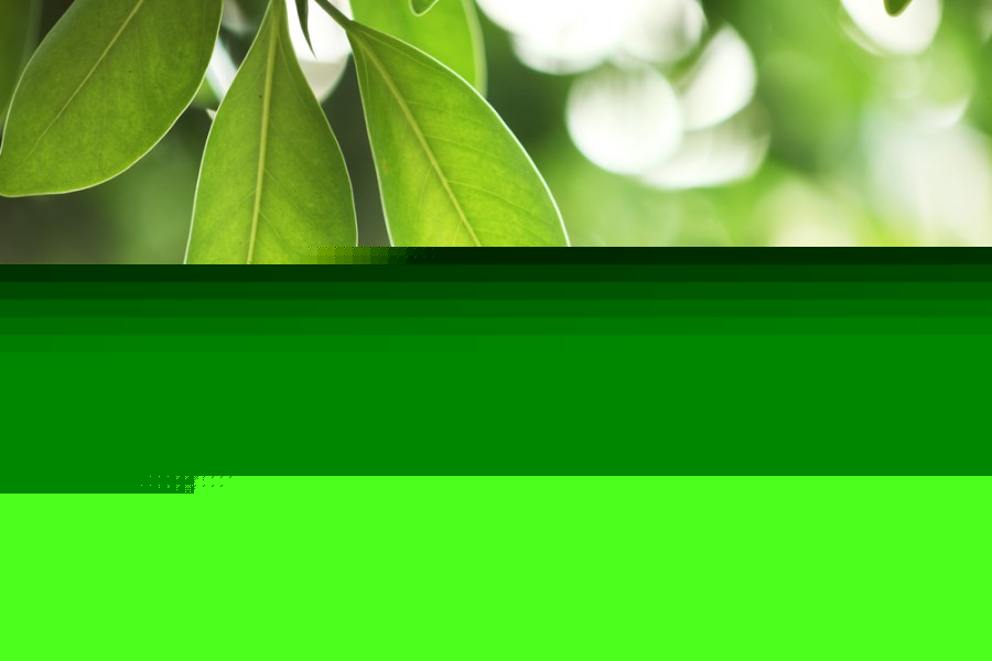 Семя льна при хпн