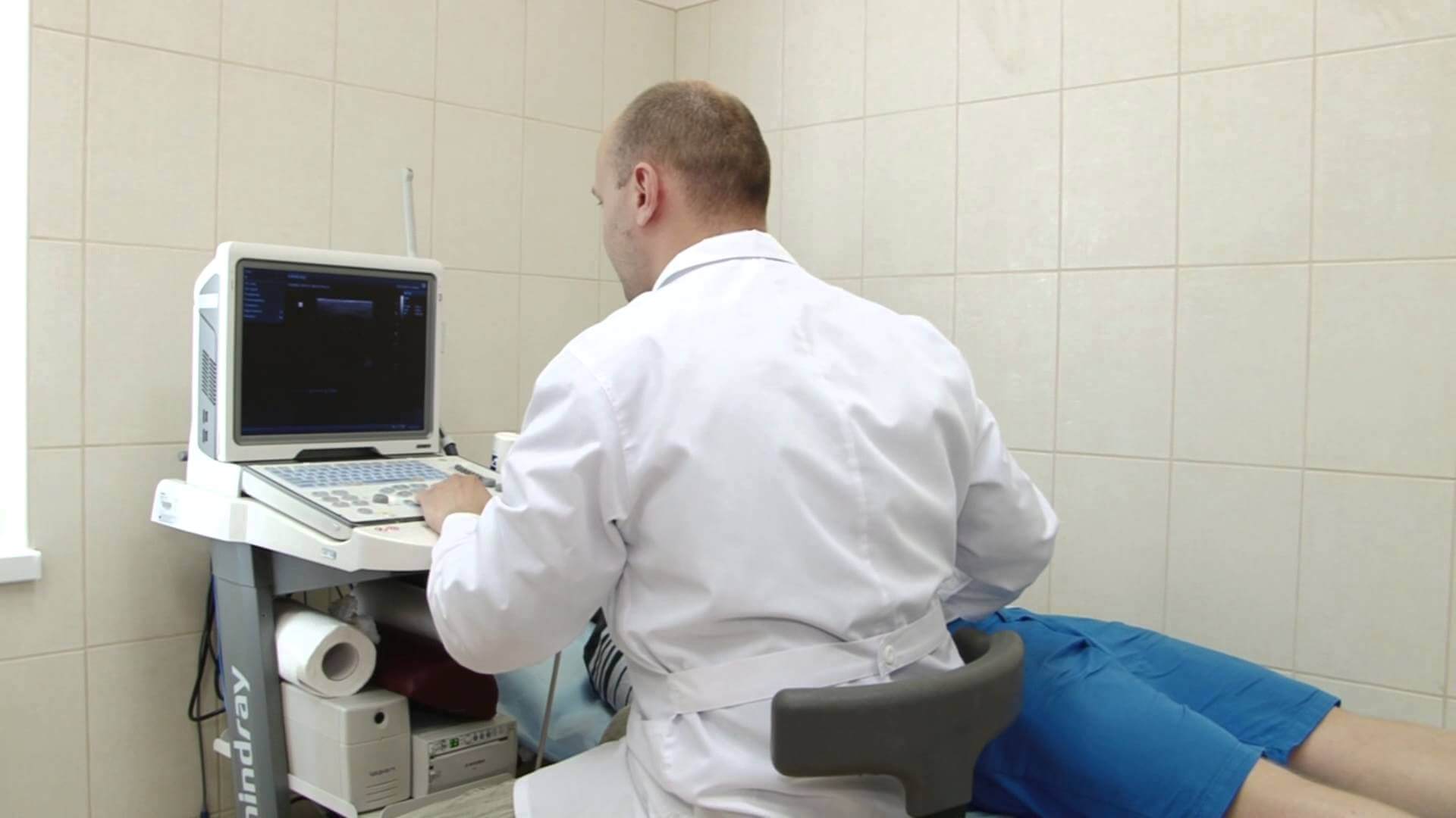 Урология - это... Что такое Урология?