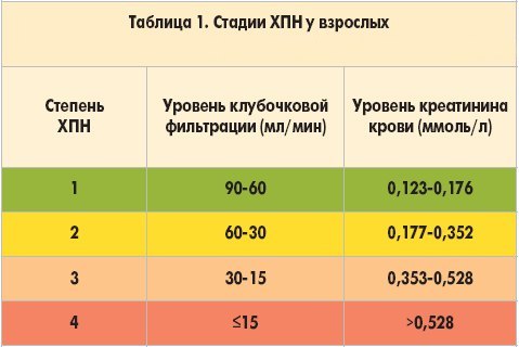 Стадии хронической почечной недостаточности Стадии хронической почечной недостаточности