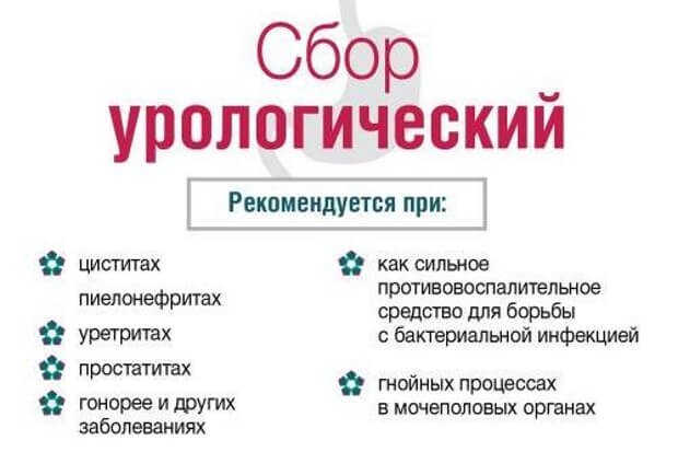 что такое урологический чай что такое урологический чай